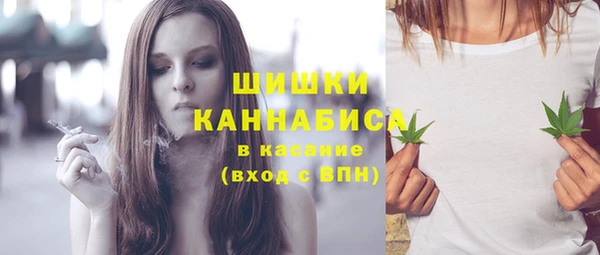 гашик Зерноград