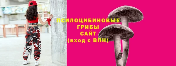 гашик Зерноград