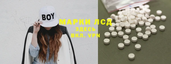 mdpv Инсар