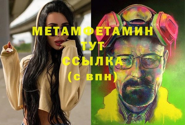 прущие грибы Зеленодольск