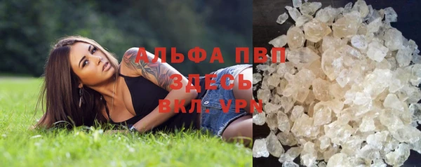 прущие грибы Зеленодольск