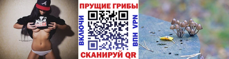 Купить Ростов Псилоцибиновые грибы мухоморы